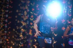 BIB: 42726
                            <button type="button" onclick="openModal(18286479)" class="btn btn-primary btn-sm float-right btn-popup" data-toggle="modal" data-target=".modal-high-quality">
                        <i class="fas fa-shopping-cart"></i> Add to Cart
                    </button>
                                            <button type="button" onclick="isThisMe(18286479, true)" class="btn btn-success btn-sm float-right btn-popup btn-isme hidden" data-toggle="tooltip" data-placement="bottom" title="นี่คือรูปของคุณใช่ไหม คลิกที่นี่เพื่อเอาเข้าอัลบั้ม">
                        <i class="fas fa-plus"></i> Add to album
                    </button>
                    <button type="button" onclick="isThisMe(18286479, false)" class="btn btn-warning btn-sm float-right btn-popup btn-isnotme hidden">
                        <i class="fas fa-ban"></i> Remove from album
                    </button>